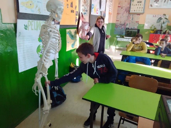 Cas biologije IV 2017-2